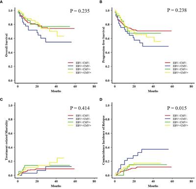 Features of Epstein–Barr Virus and Cytomegalovirus Reactivation in Acute Leukemia Patients After Haplo-HCT With Myeloablative ATG-Containing Conditioning Regimen